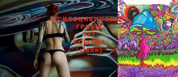 стафф Абинск