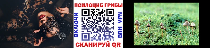 Галлюциногенные грибы Cubensis  сколько стоит  KRAKEN как зайти  Лысково 